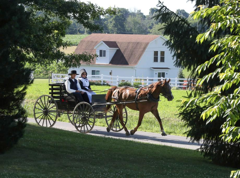 Ein Paar aus der Glaubensgemeinschaft der "Amish" in einer Pferdekutsche